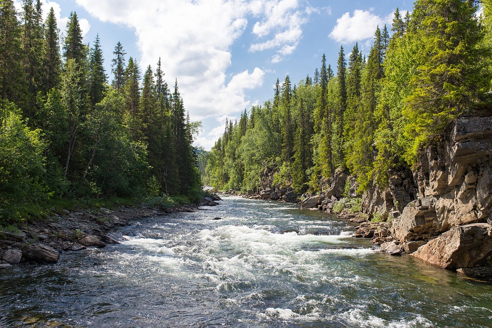 About Northwest Montana